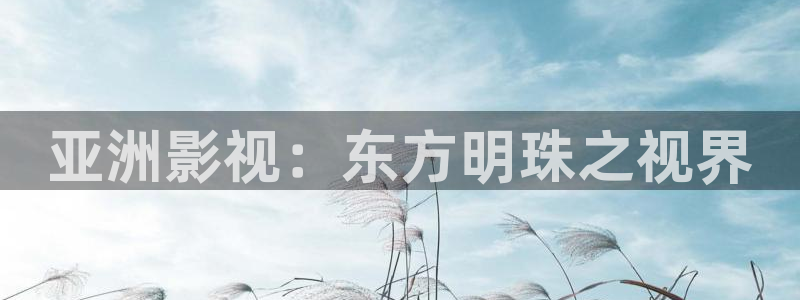 飘雪影院完整版