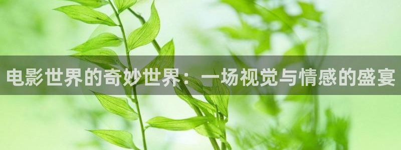 飘雪在线观看电影