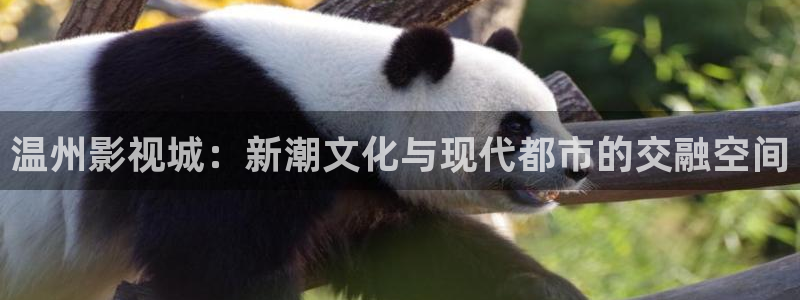 飘雪影院观看免费完整版高清影视大全